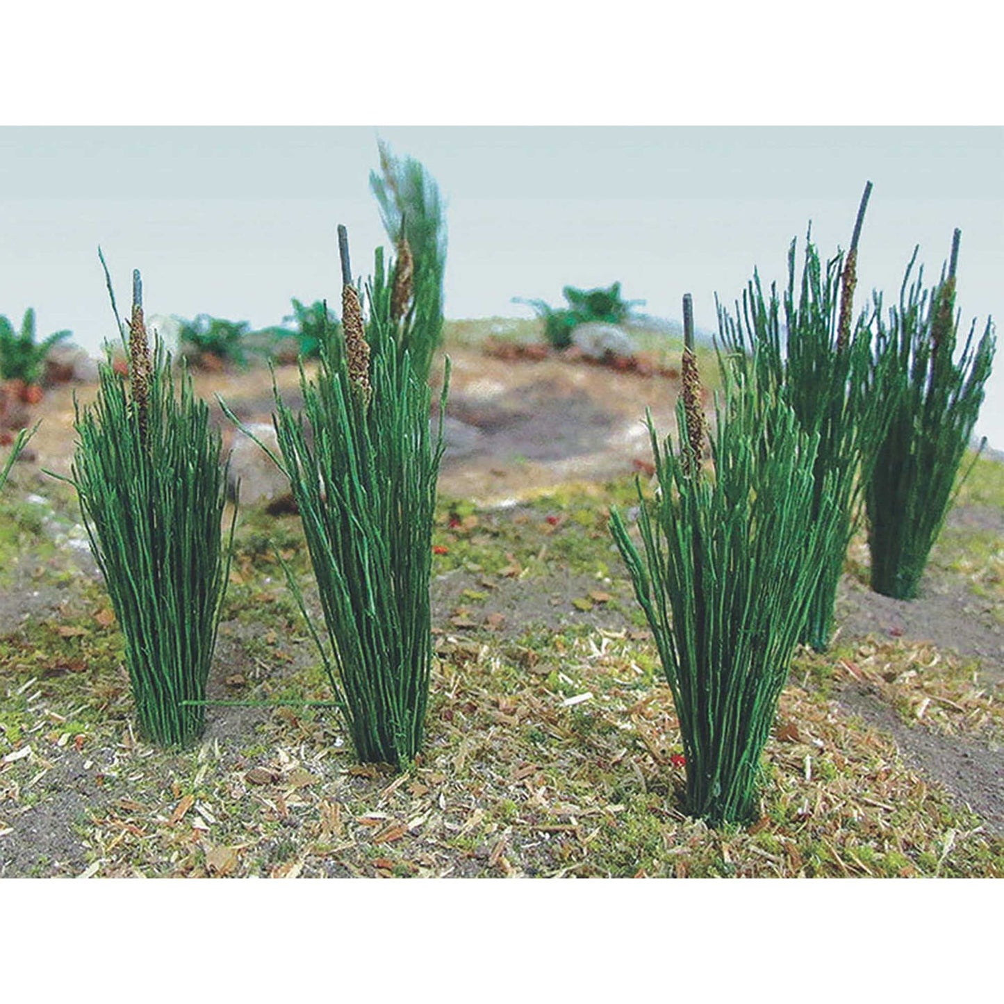 3/4" Cattails (24) (BAC32505)