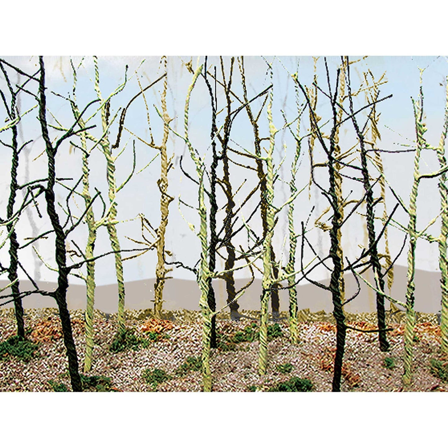 Wood's Edge Trees Bare (14) (BAC32509)