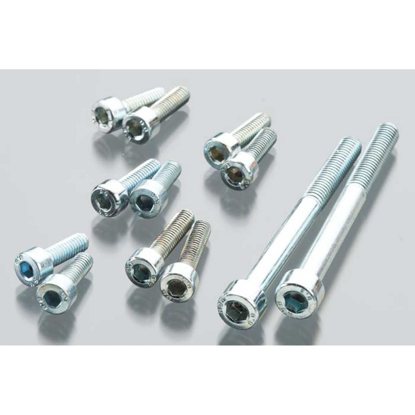 DLE-20 Screw Set (DLEG2134)