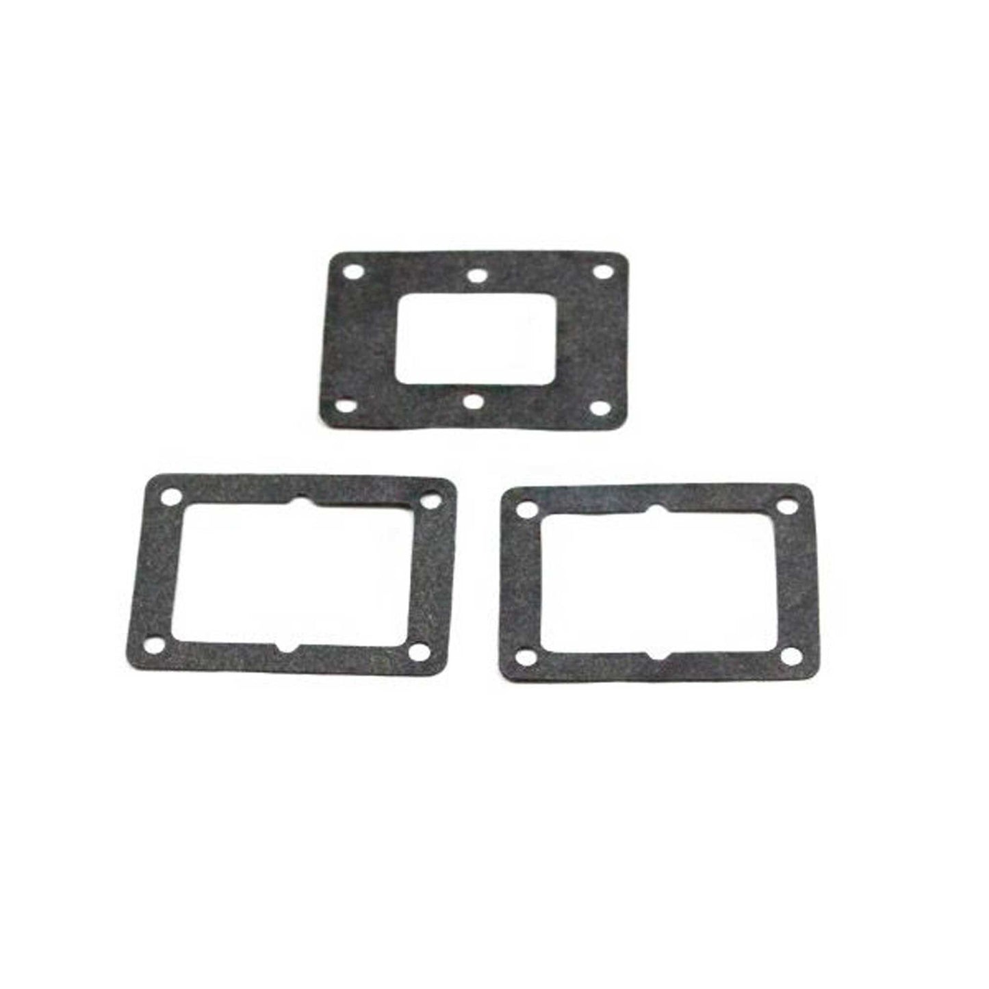 Reed Cage Gasket Set 62GX (EVOG620834)
