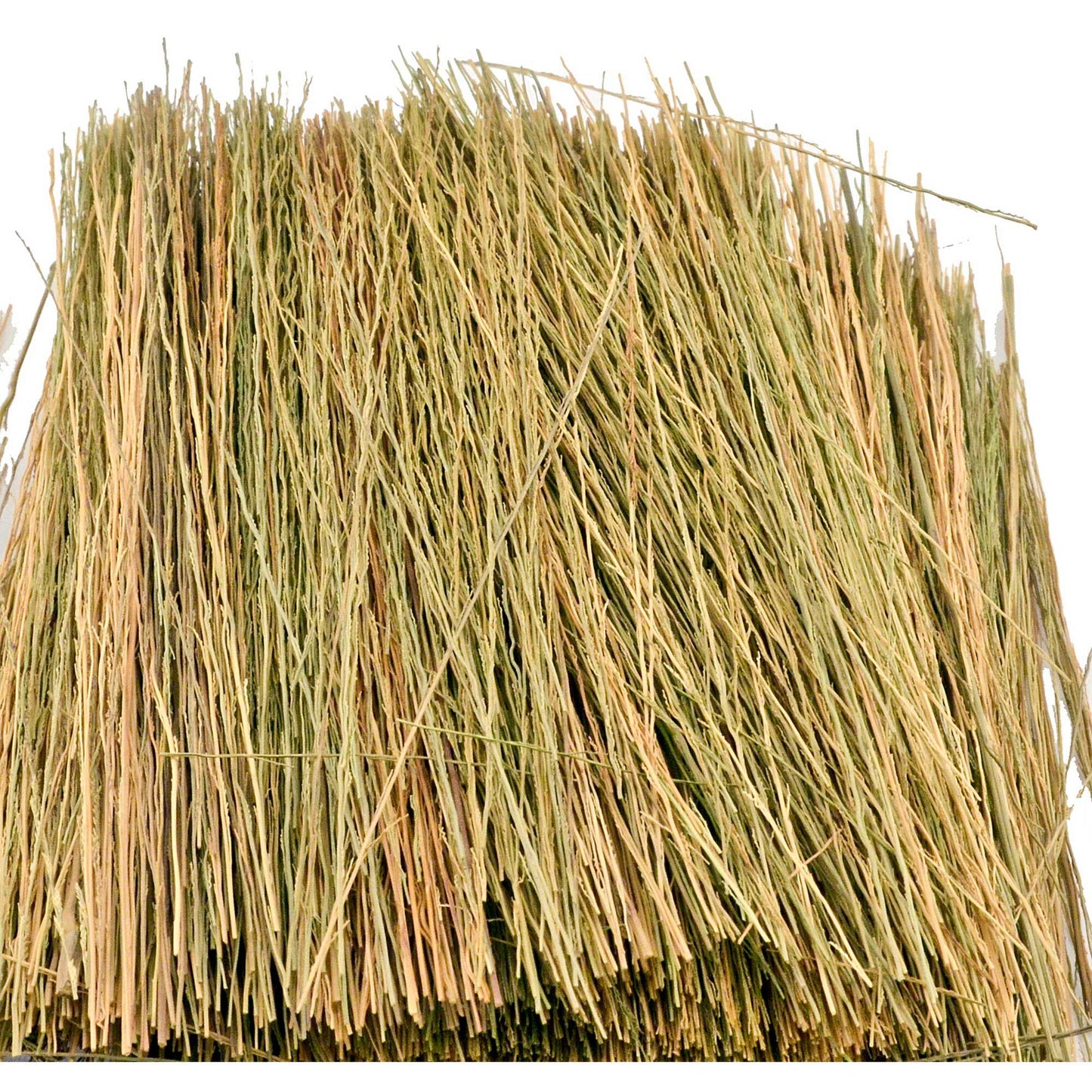 Field Grass Natural Brown (JTT95084)