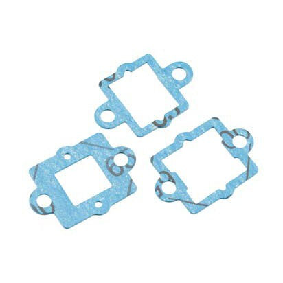 Carburetor Reed Valve Gasket GT22 (OSMG2552)