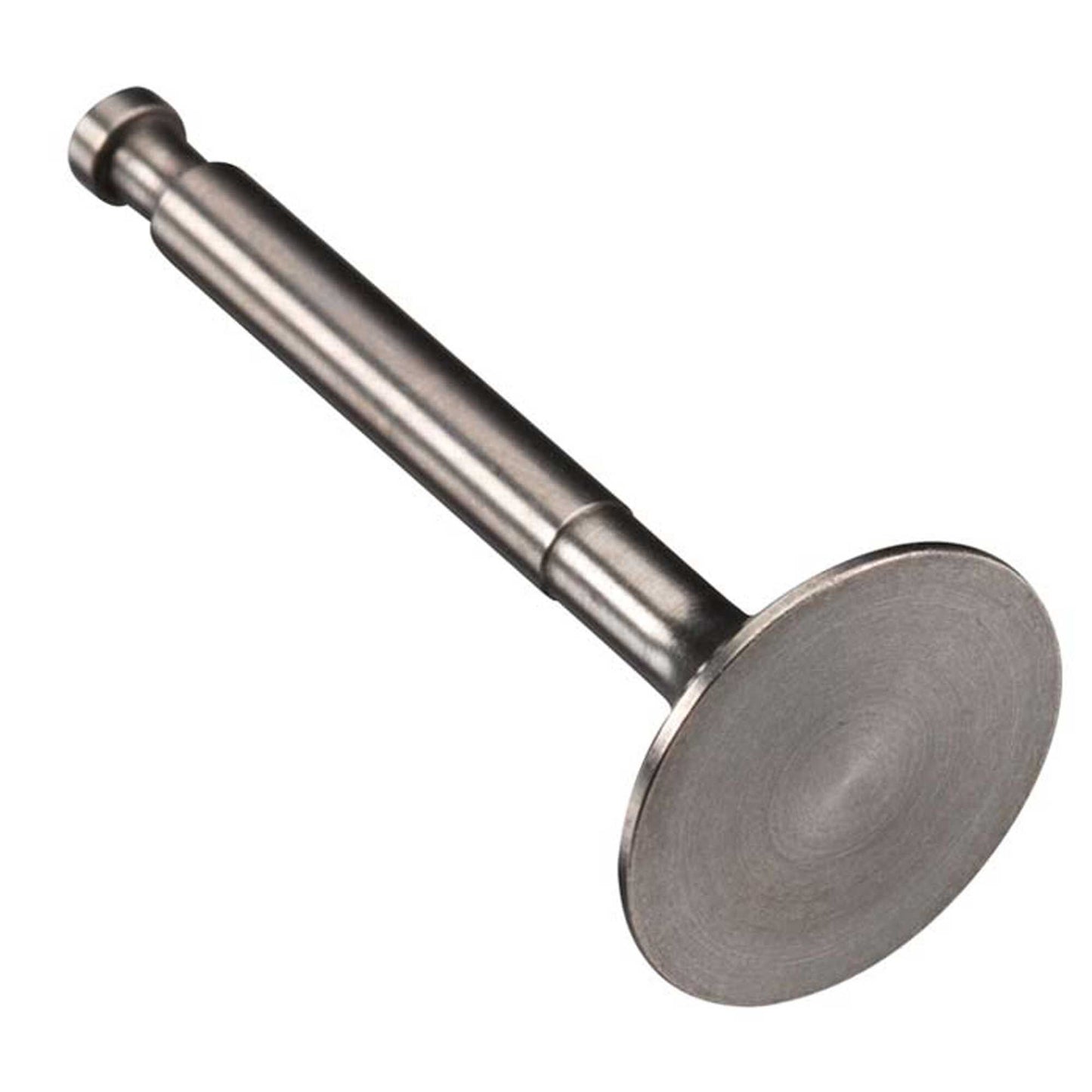 Exhaust Valve GF40 (OSMG5820)