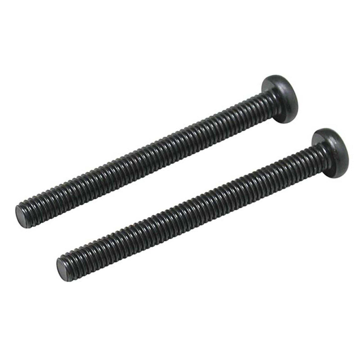 Muffler Screws #843 (2) (OSMG6904)