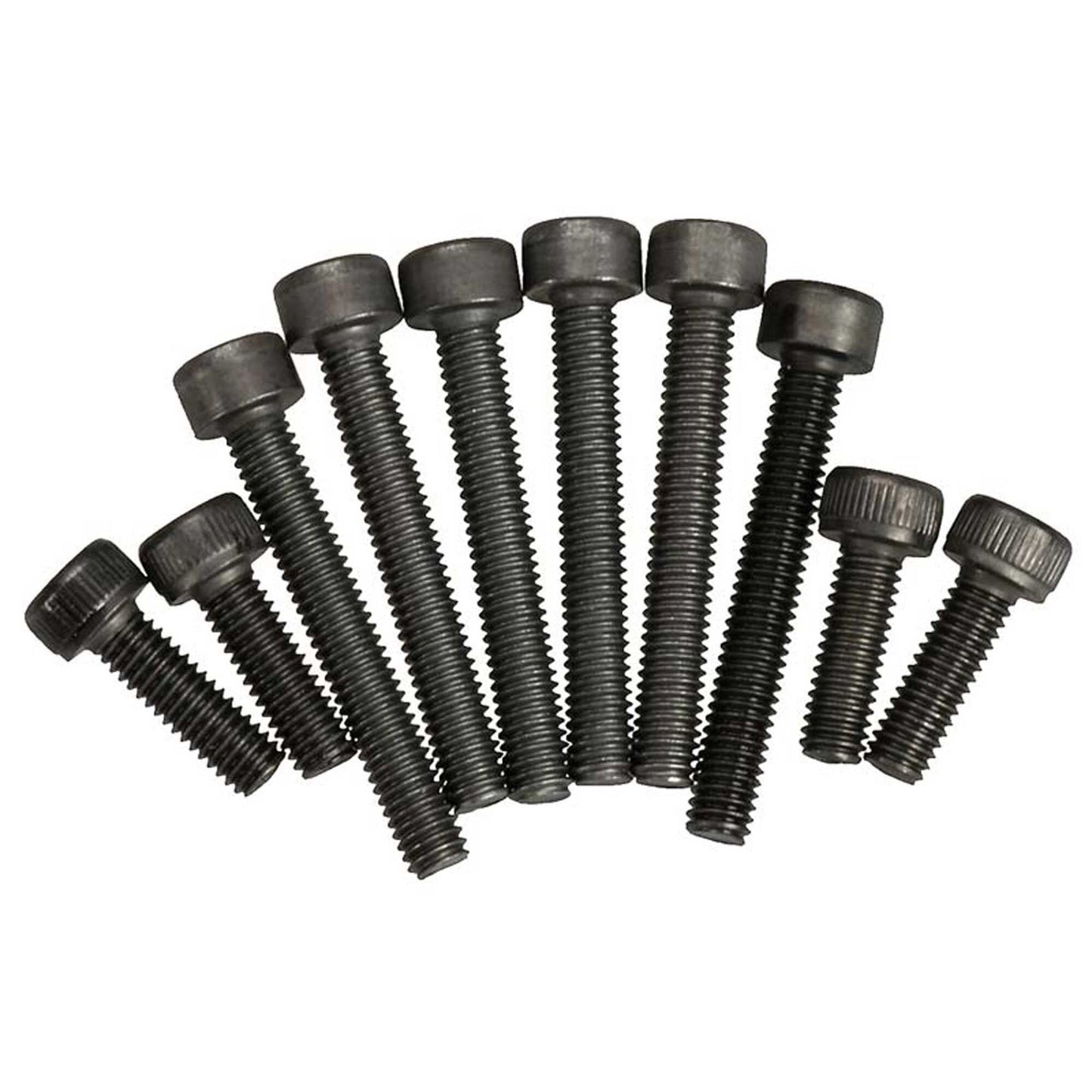 Screw Set (10) for 21XM Model (OSMG8689)