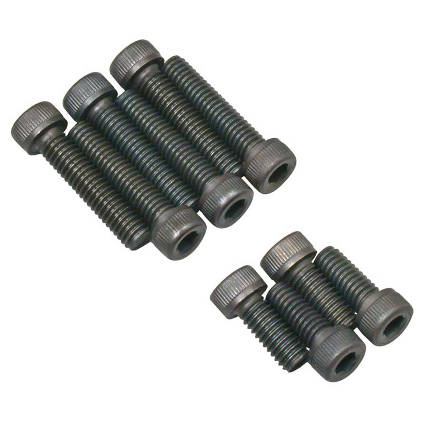 Screw Set for 61RX SX (10 screws) (OSMG8773)