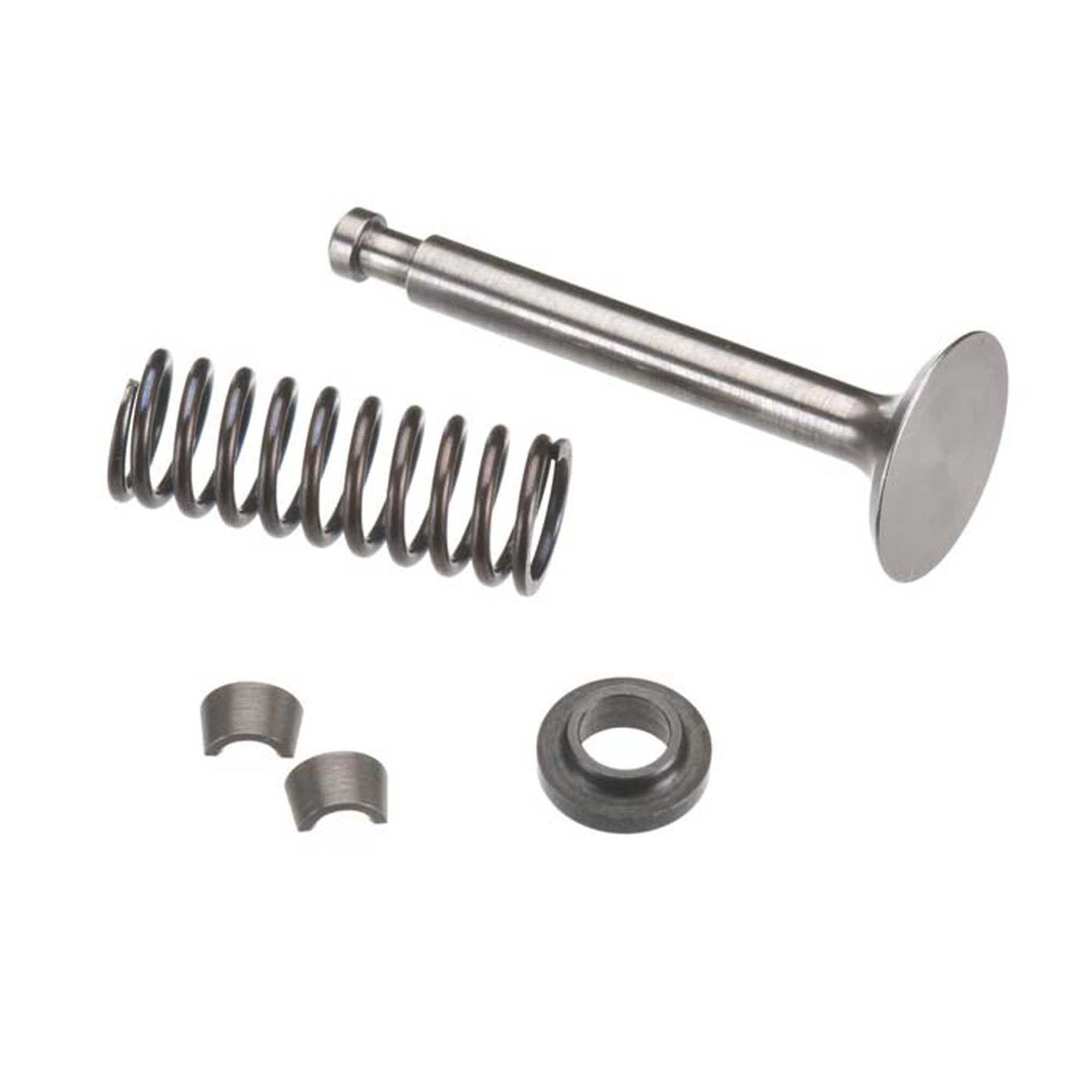 Valve Assembly Exhaust for FS-120 Surpass (OSMG9223)