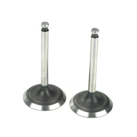 In and Out Valve Pair AD AE (SAI220A46)