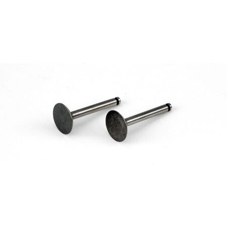 In/Out Valves Pair for FA-62a/GK Models AI, AJ, BV, BS (SAI62A46)