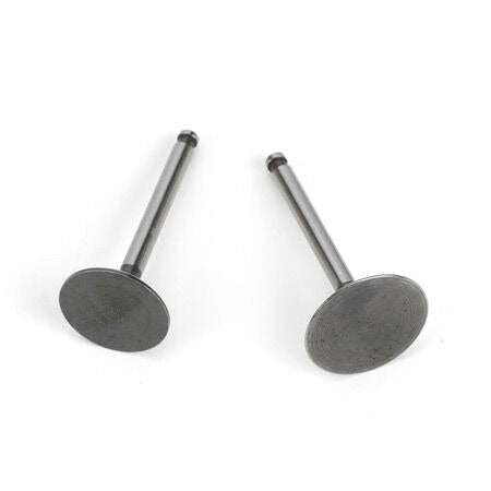 FG-36 Valve In & Out Pair for AK and BP Models (SAIG3646)