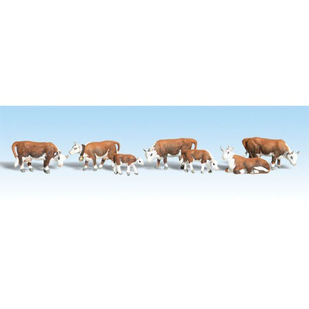 HO Hereford Cows (WOOA1843)