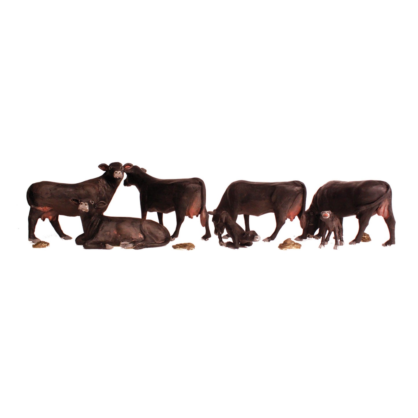 HO Black Angus Cows (WOOA1955)