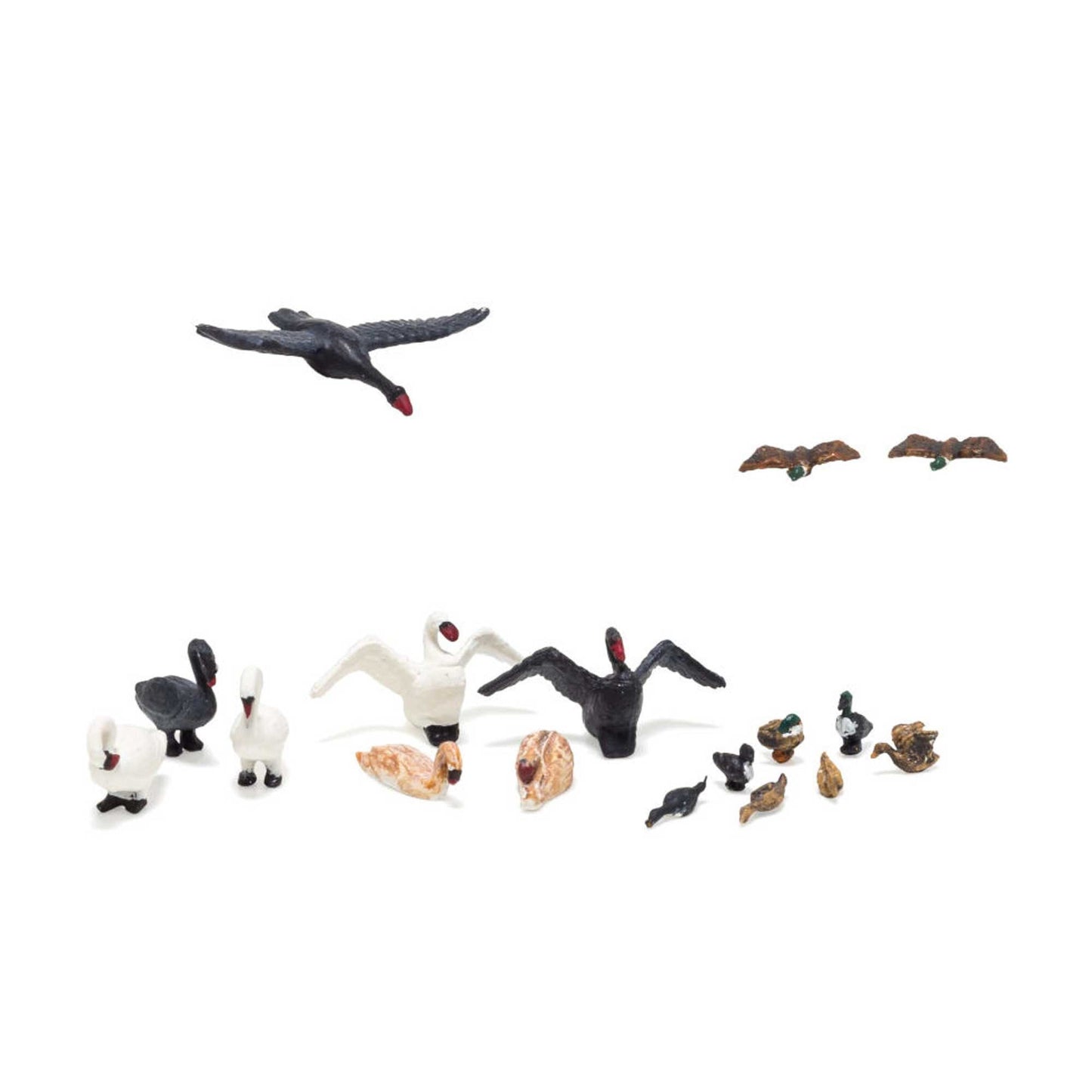 HO Ducks and Swans (WOOA1969)