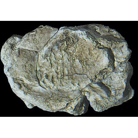 Wind Rock Rock Mold (WOOC1237)