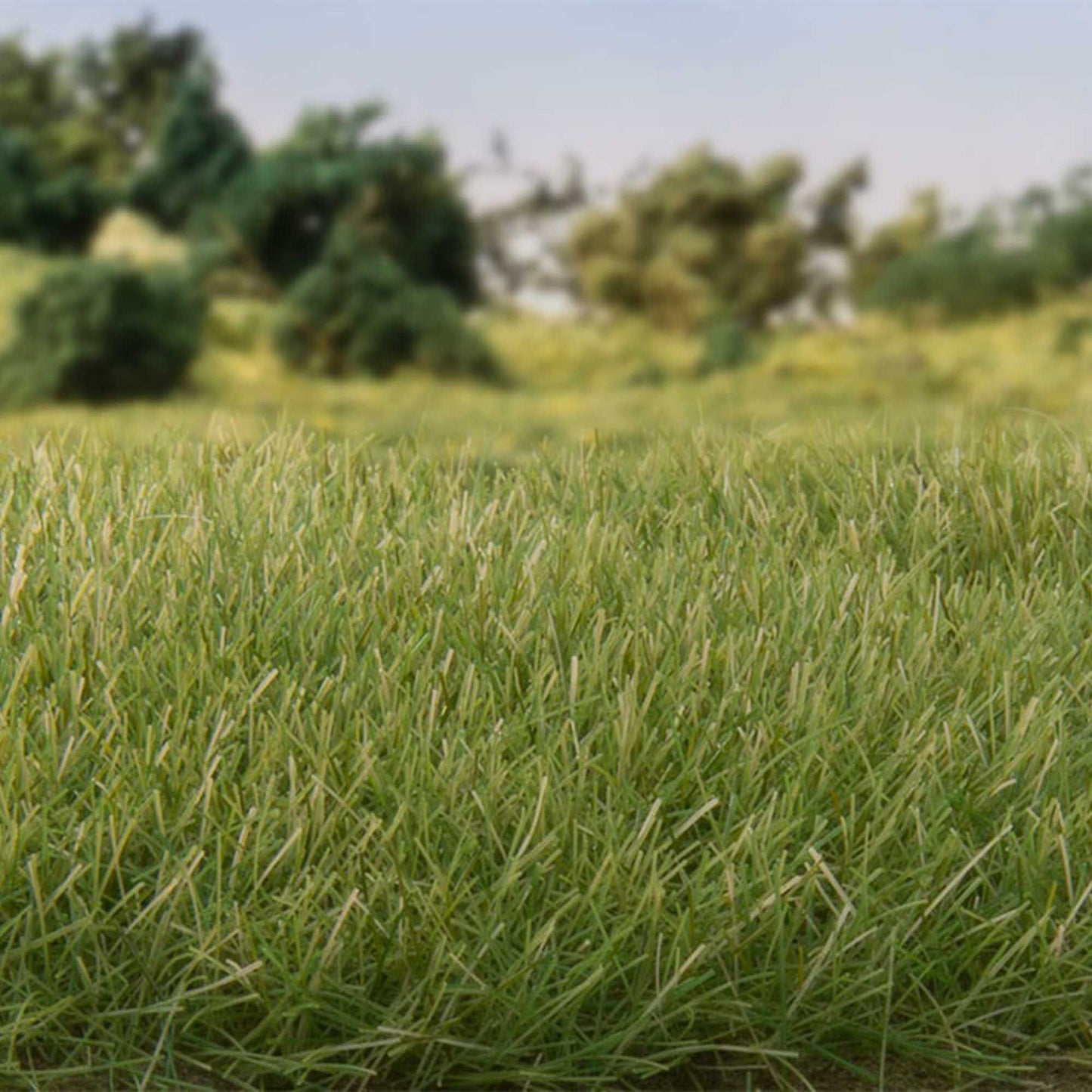 7 mm Medium Green Static Grass (WOOG6584)