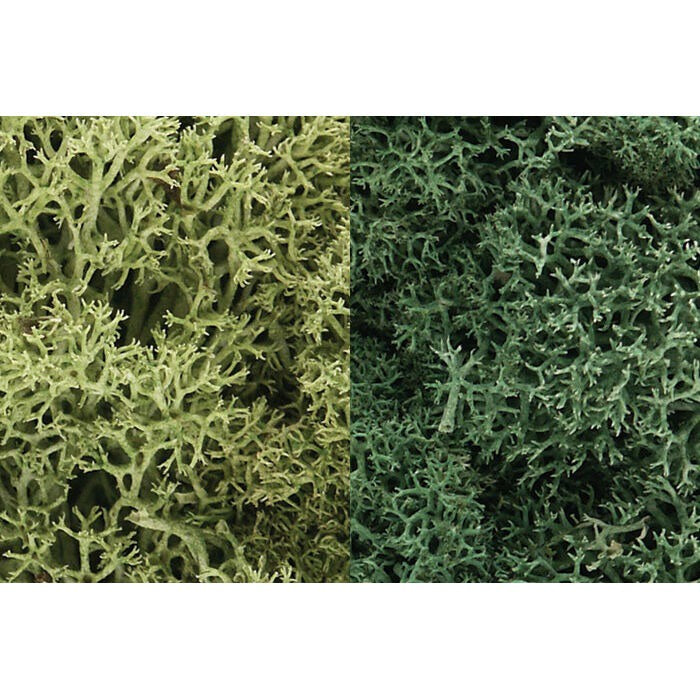 Lichen Bag Light Green Mix 165 cu. in. (WOOL167)