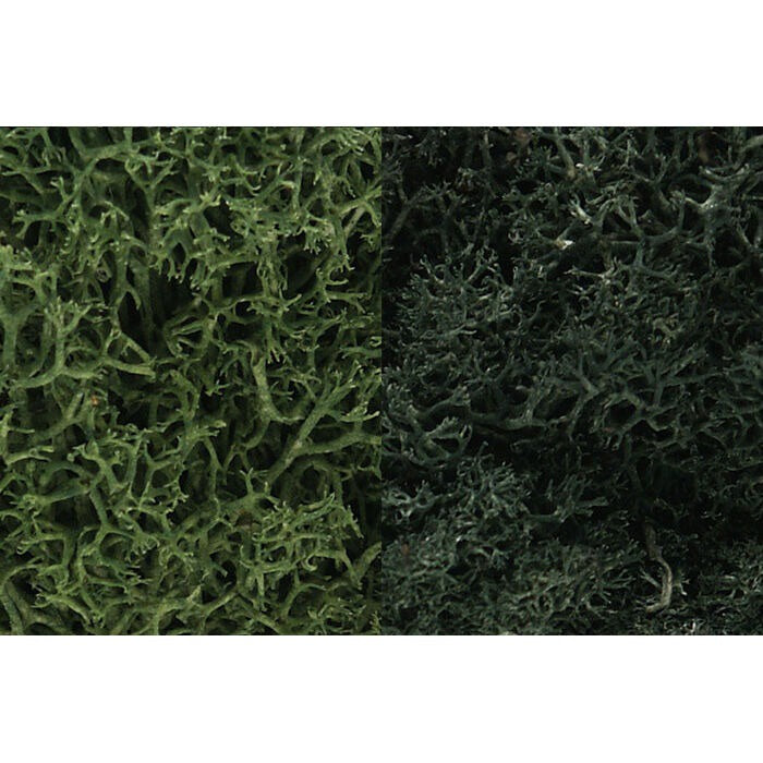 Lichen Bag Dark Green Mix 165 cu in (WOOL168)
