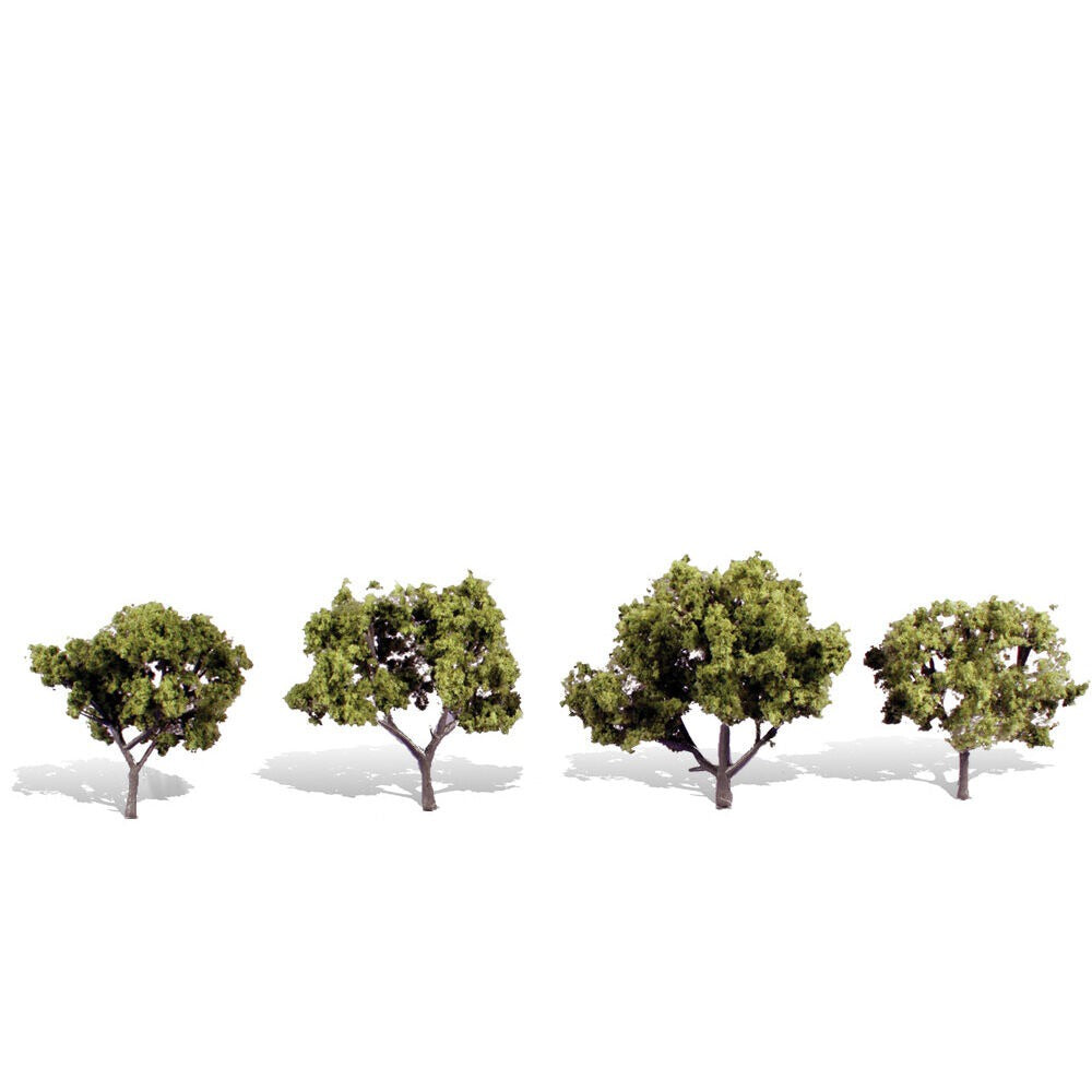 Classics Tree, Early Light 2-3" (4) (WOOTR3503)