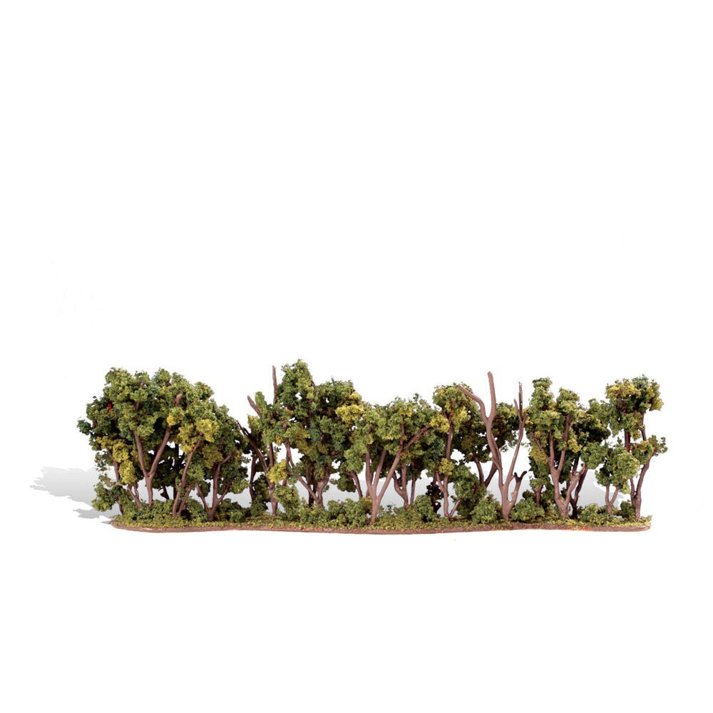 Classics Tree Hedge Row 1-2 Inch (WOOTR3581)
