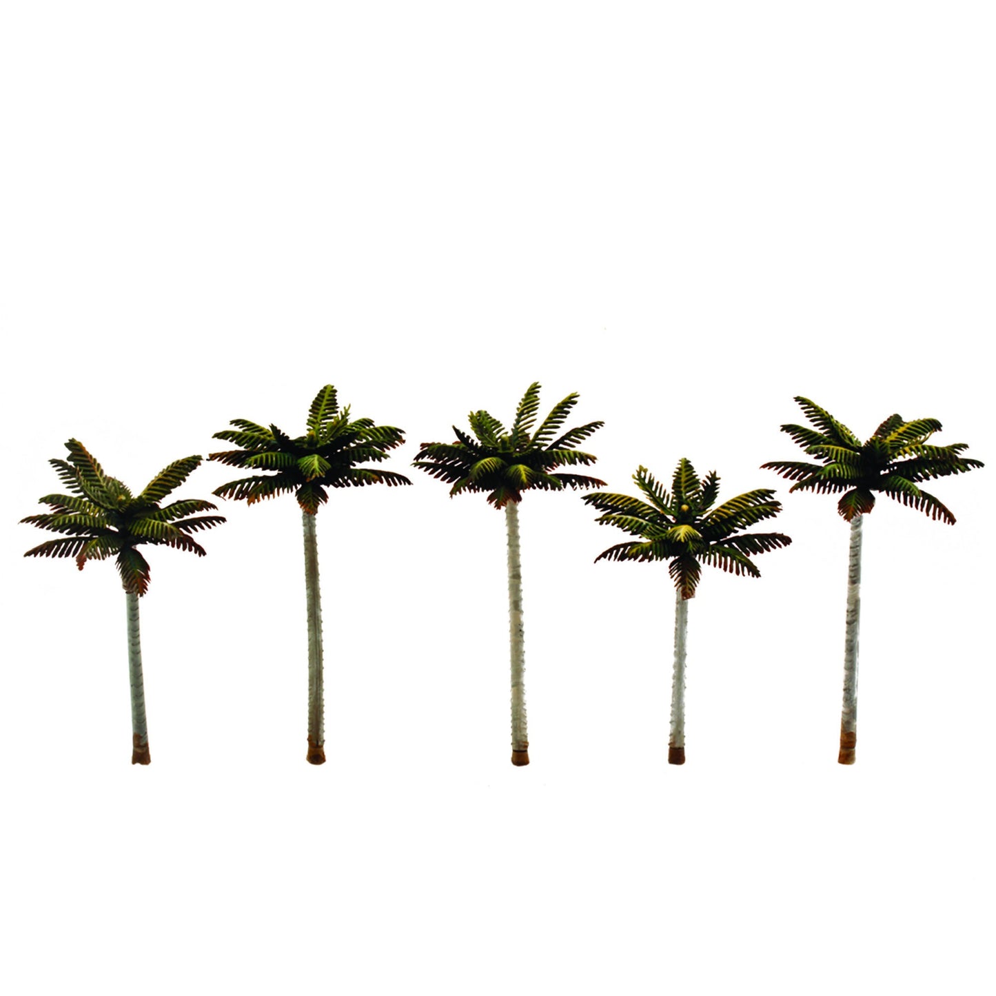 Classics Palm Trees 3.00-3.75 inches Set of 5 (WOOTR3597)