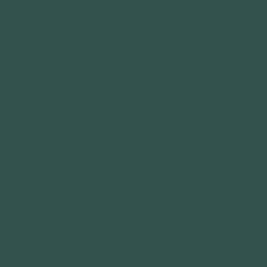 17Ml Ijn Deep Dark Green (VLJ71310)