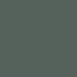 17Ml Olive Grey (VLJ71096)
