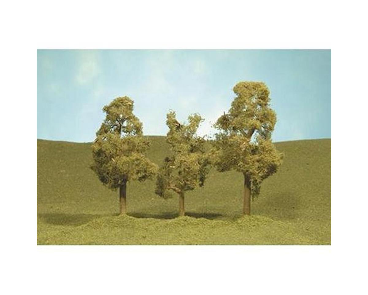 Scenescapes Sycamore Trees (2.5-2.75") (4) (BAC32109)
