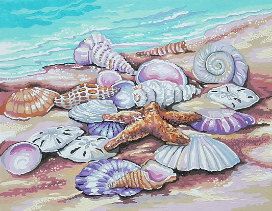 Shells 11x14" Paint by Number (DMS91526)