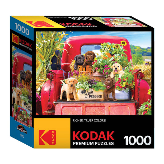 Stowaways Premium Puzzle, 20"x27", 1000 Pieces (KOD640807)