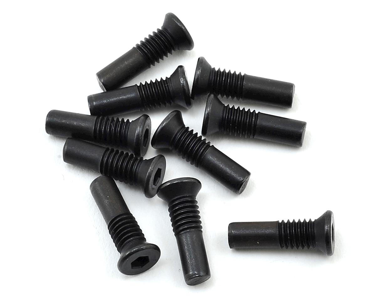 Front Hinge Pin Screw (10) (LOS235023)