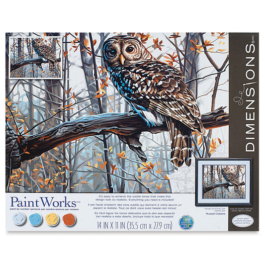 Wise Owl Paint-by-Number Kit, 14"x11" (PWK436355)