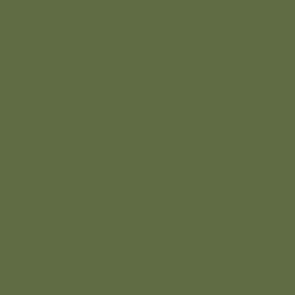 Model Color Olive Green Acrylic Paint 18ml Bottle (VLJ70967)