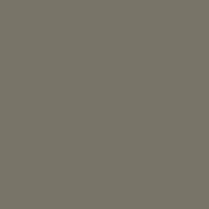 17Ml Idf Sinai Grey 82 (VLJ71142)