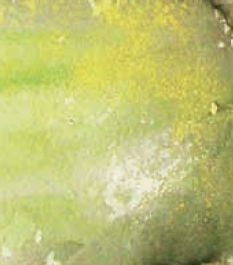 40Ml Slimy Grime Light (VLJ73823)