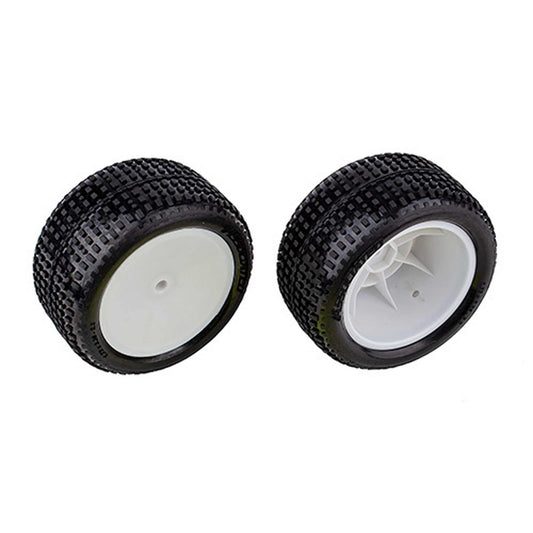 RB10 Rear Wheels and Tires Mounted (ASC72019)
