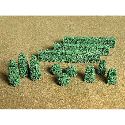Boxwood Plants Pack of 20 (BAC32504)