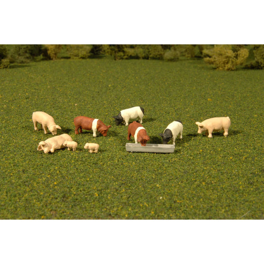O Pigs (9) (BAC33168)