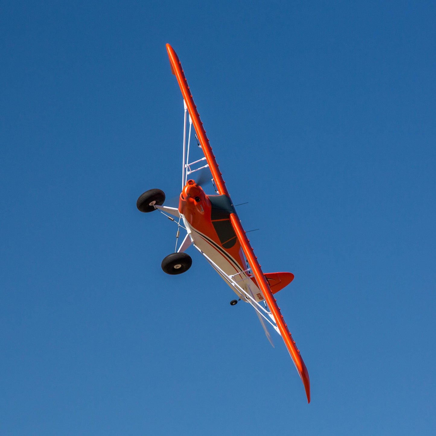 Carbon-Z Cub SS 2.1m BNF Basic (EFL124500)_3