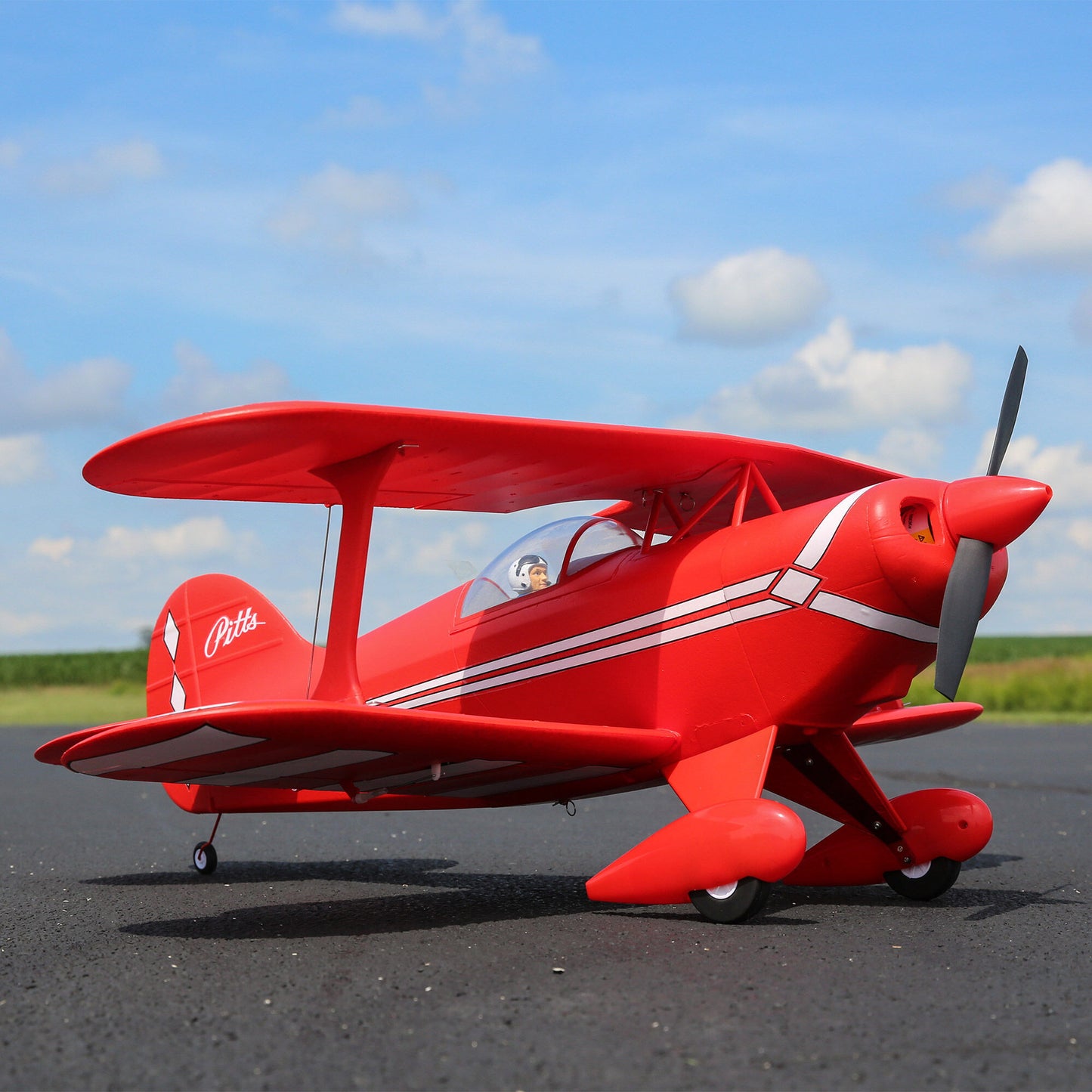 Pitts S-1S BNF Basic (EFL35500)_13
