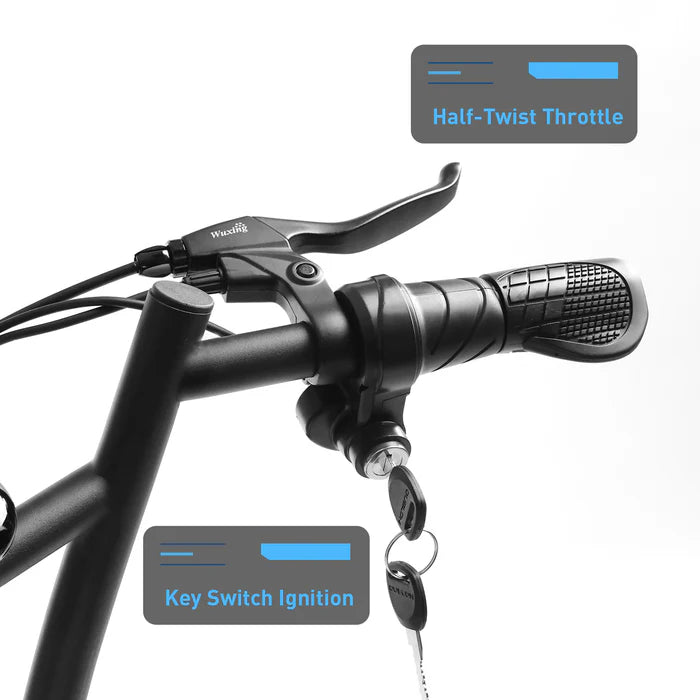 U2 Pro Fat Tire Electric Scooter (HIBU2PRO)