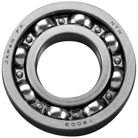 Rear Bearing 61-300 (OSMG3108)