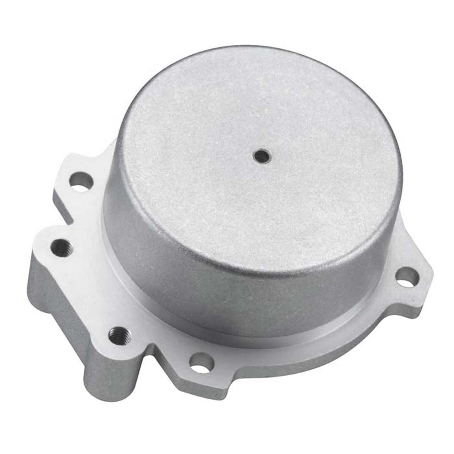Cover Plate for FS81 Alpha Pump (OSMG4137)