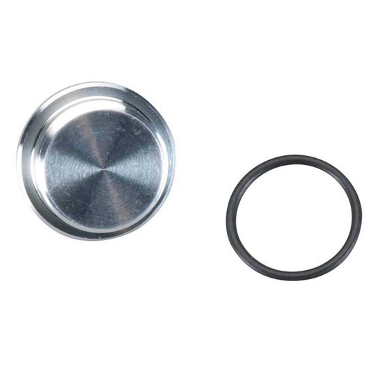 Crankcase Plug for GT55 (OSMG4421)