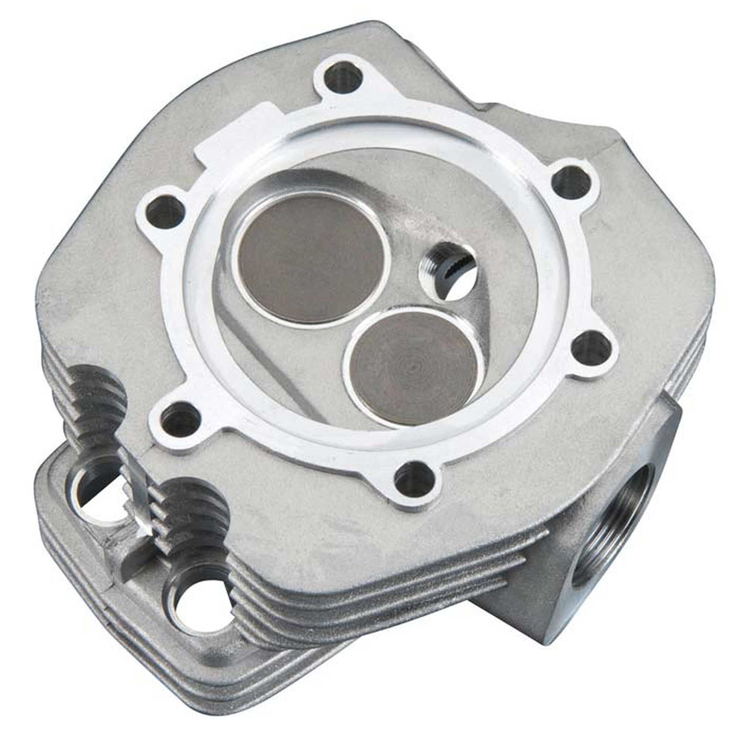 Cylinder Head with Valves for FS120SE Engine (OSMG5130)