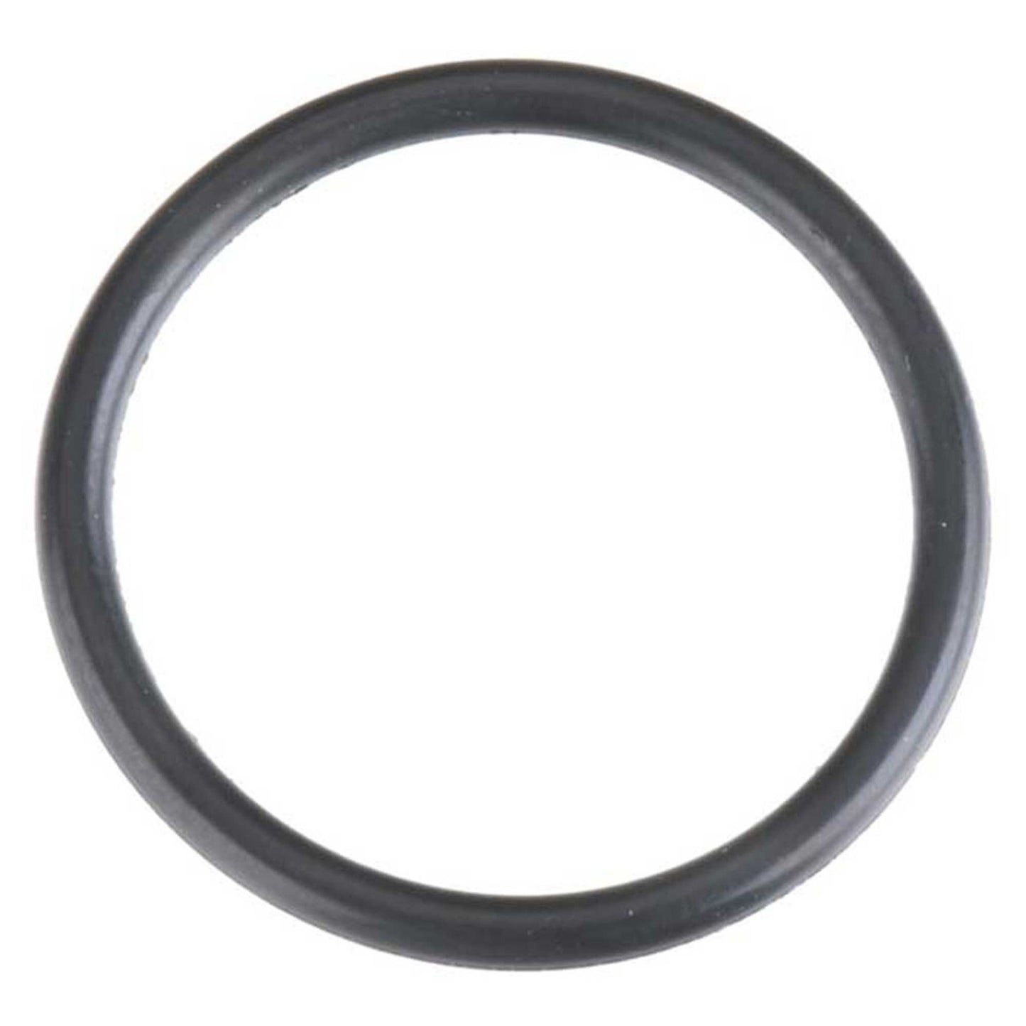 O-Ring 21TM (OSMG7363)