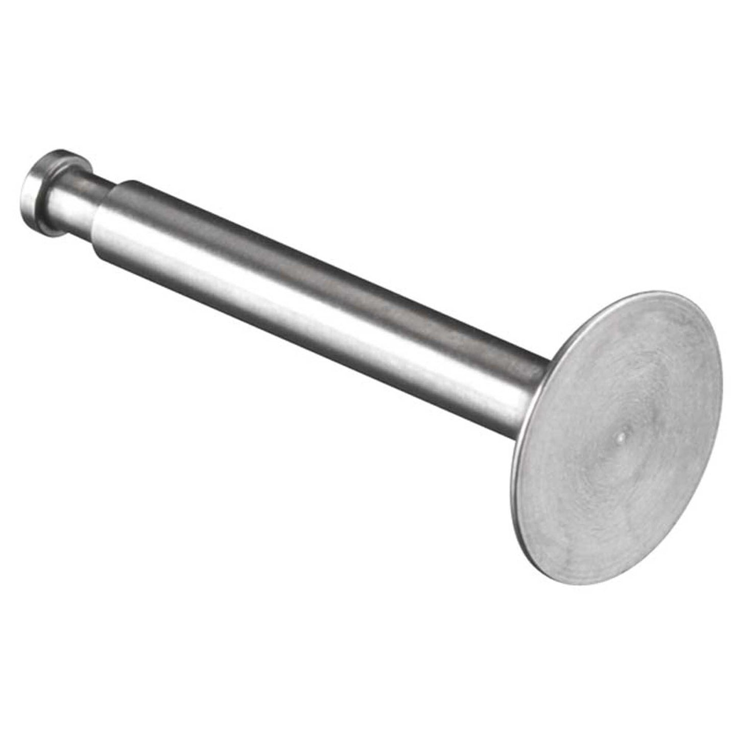 Vavle Exhaust for FS-91 Surpass (OSMG9187)