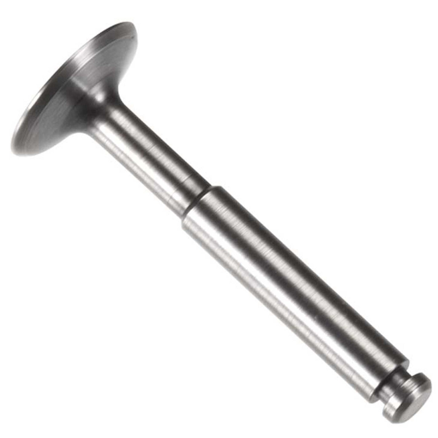 Exhaust Valve Assembly for 56 FS Engine (OSMG9188)