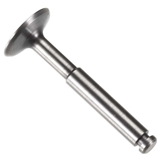 Exhaust Valve Assembly for 56 FS Engine (OSMG9188)