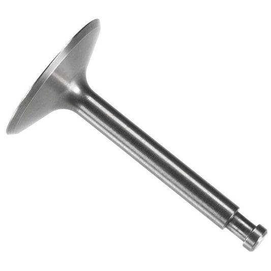 Intake Valve for 200 Surpass Engine (OSMG9221)
