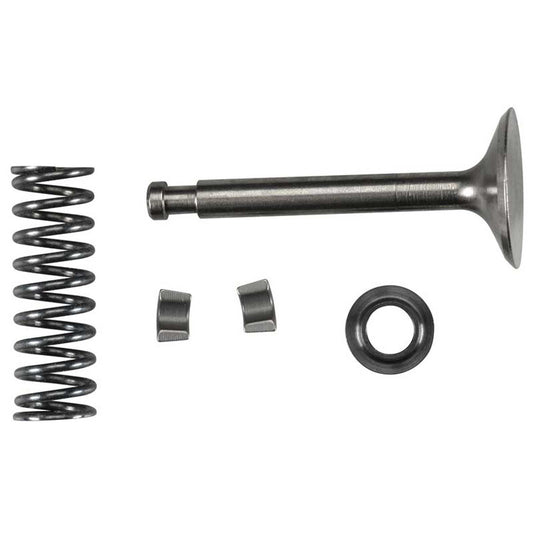 Valve Assembly Intake for FS-120 Surpass (OSMG9222)